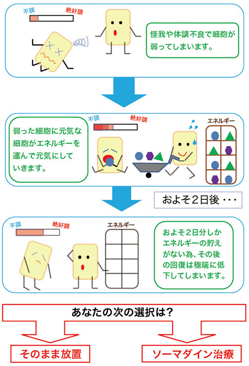 ケガや体調不良で細胞が弱ってしまう。弱った細胞に元気な細胞がエネルギーを運んで元気にしていきます。およそ2日後・・・およそ2日しかエネルギーの蓄えが無いため、その後の回復は極端に低下してしまいます。あなたはそのまま放置しますか、それともソーマダイン治療をしますか？